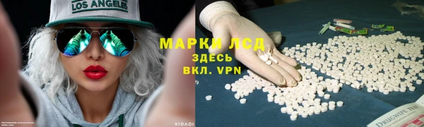 spice Гусь-Хрустальный