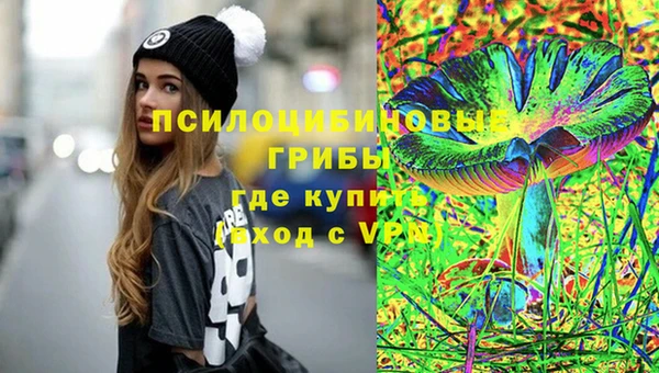 мет Гусев