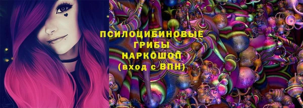 spice Гусь-Хрустальный
