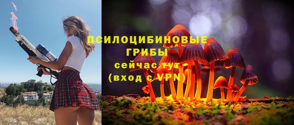 spice Гусь-Хрустальный