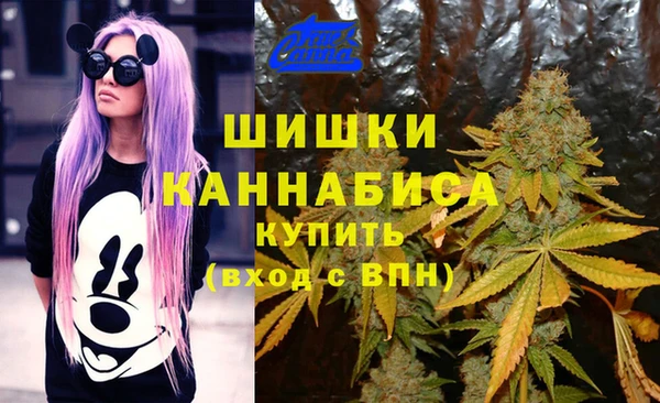 spice Гусь-Хрустальный