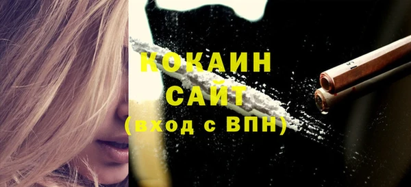 стаф Сосновка