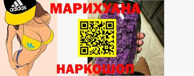 крисы Бийск