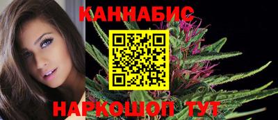 крисы Бийск