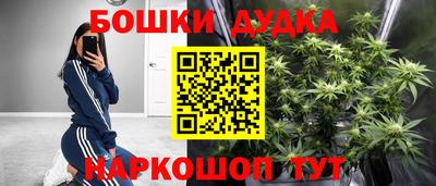 крисы Бийск