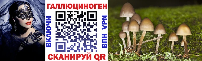 как найти   Богородицк  Псилоцибиновые грибы MAGIC MUSHROOMS 