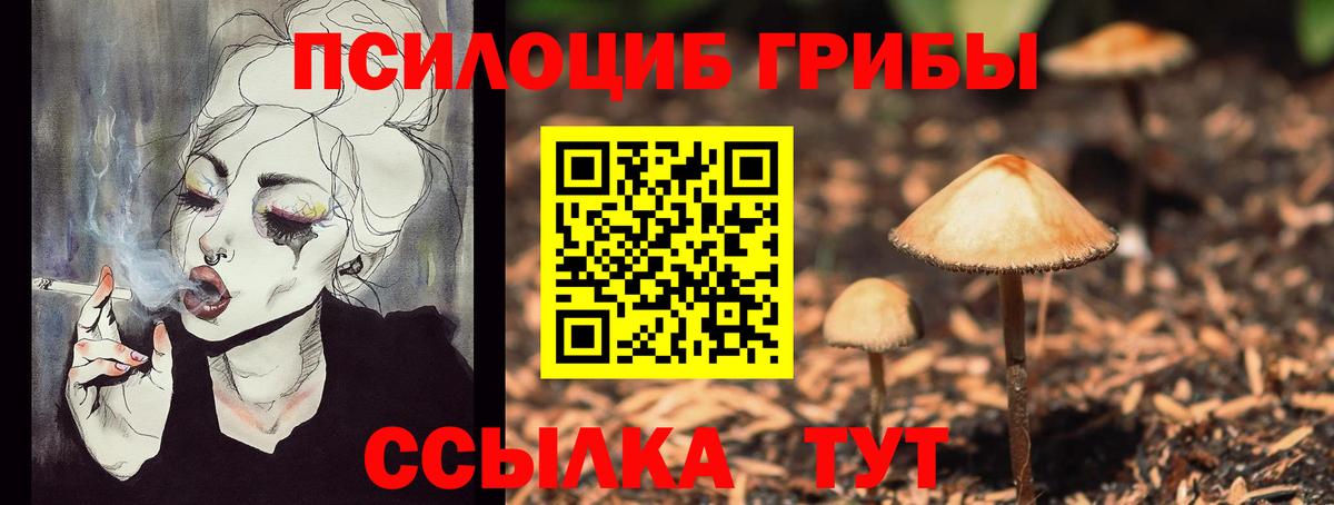 Богородицк  Псилоцибиновые грибы GOLDEN TEACHER  Вход с VPN 