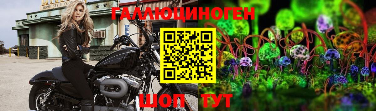Галлюциногенные грибы GOLDEN TEACHER  Богородицк 
